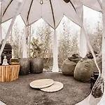 Rooftop Colosseo - D'amore Bed & Breakfast