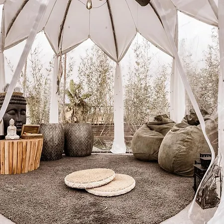 Rooftop Colosseo - D'amore Bed & Breakfast